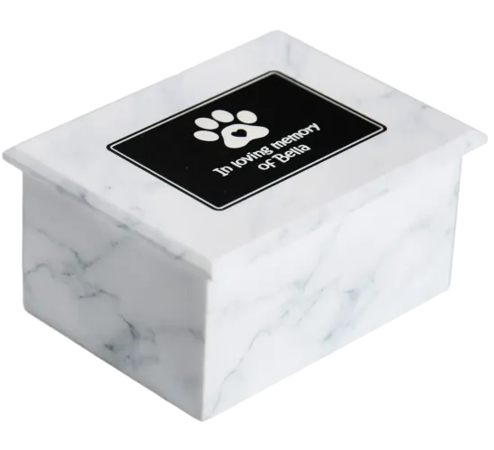Pet Ashes Box